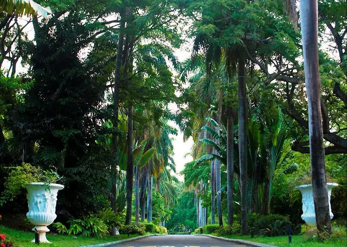 Resort Jewel Dunn's River Adult &